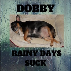 Dobby - Rainy Days Suck