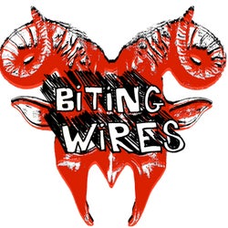 Biting Wires