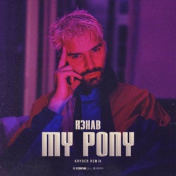 My Pony (Kryder Remix) (Extended Version)