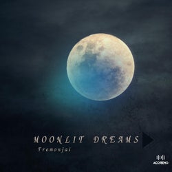 Moonlit Dreams