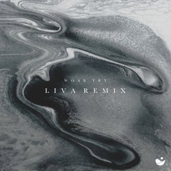 Try (LIVA (BR) Remix)
