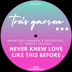 Never Knew Love Like This Before (Trois Garcon Mix)
