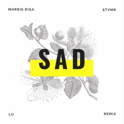 Sad (feat. Stvmr)