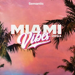 Miami Vibes 2024