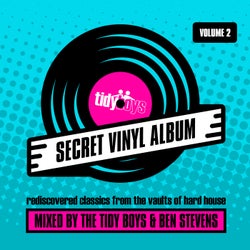 Secret Vinyl Album, Vol. 2