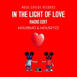 In The Light Of Love (Radio Edit)