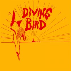 Diving Bird 1