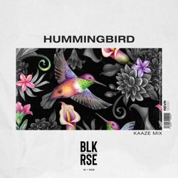 Hummingbird - KAAZE Mix