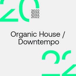 Best Sellers 2022: Organic House / Downtempo