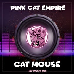 Cat Mouse (Re-Work Mix)