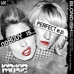 Nobody Is Perfect EP
