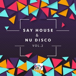 Say House & Nu Disco, Vol. 2