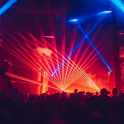 Festival Bangers
