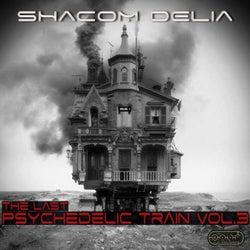 The Last Psychedelic Train vol.3