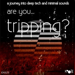 Are You...Tripping?, Vol. 7