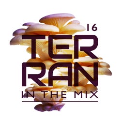 016 DJ Terran in the mix