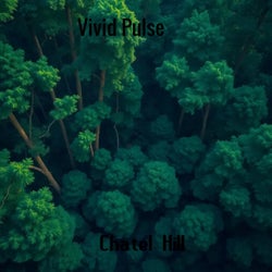 Vivid Pulse