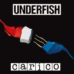 Carico