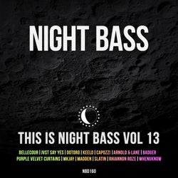 This is Night Bass: Vol. 13