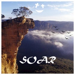 Soar