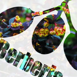 Monkeys EP