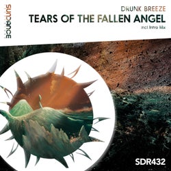 Tears Of The Fallen Angel