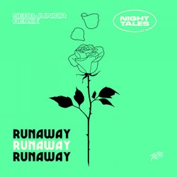 Runaway (Sebb Junior Extended Remix)