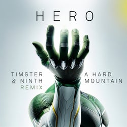 Hero (Timster & Ninth Remix)