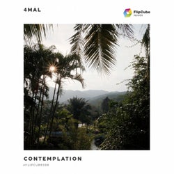 Contemplation