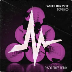 Danger To Myself (Disco Fries Remix)