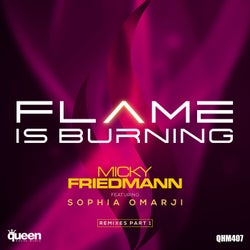 Flame Is Burning (Remixes Part 1)