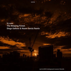 The Weeping Forest (Diego Galloso & Noam Garcia Remix)