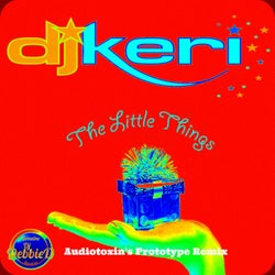 The Little Things (Audiotoxin Prototype Remix)