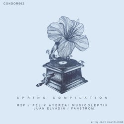 Spring Compilation