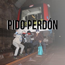 Pido Perdon