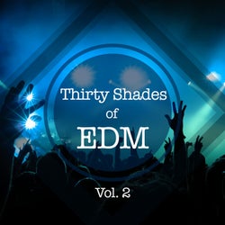 Thirty Shades Of EDM, Vol. 2