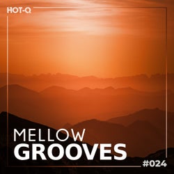 Mellow Grooves 024