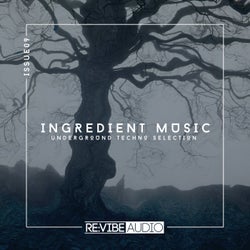 Ingredient Music, Vol. 9