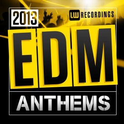 2013 EDM Anthems