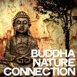 Buddha Nature Connection