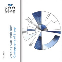 Cartography of Sleep