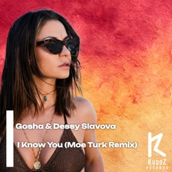 I Know You (Moe Turk Remix)