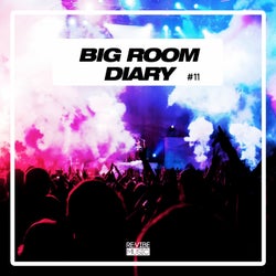 Big Room Diary, Vol. 11