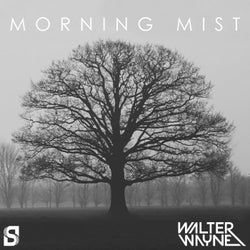 Morning Mist