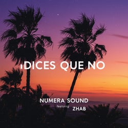 Dices que No
