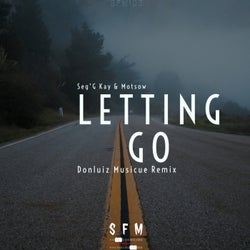 Letting Go (feat. Motsow) [Donluiz Musicue Remix]