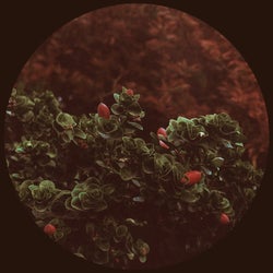 Everything / Feel The Same