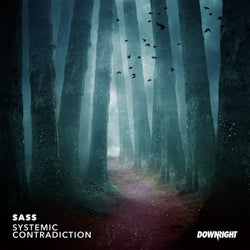 Systemic Contradiction (Extended Mix)