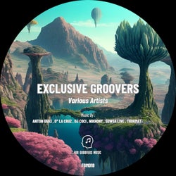 Exclusive Groovers