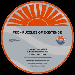 Puzzles Of Existence